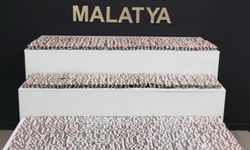 Malatya'da uyuşturucu operasyonu: 2 gözaltı
