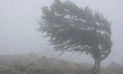Meteoroloji uyardı: Güneydoğu'da kuvvetli rüzgar
