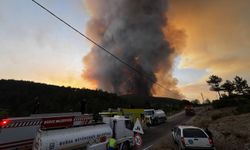 Orhaneli-Harmancık hattındaki yangın rüzgârın etkisiyle büyüyor