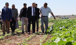 Şanlıurfa’da ata tohumları toprakla buluşuyor