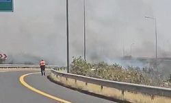 Şanlıurfa’da otluk alanda çıkan yangına müdahale ediliyor 