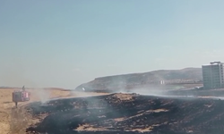 Siirt'te anız yangını: İtfaiye ekipleri müdahale ediyor