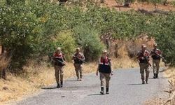 Siirt'te fıstık hırsızlıklarına karşı jandarma alarmda: Gece gündüz devriye ve sıkı denetim