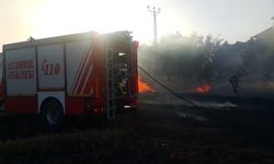 Silivri'de ormanlık alanda yangın