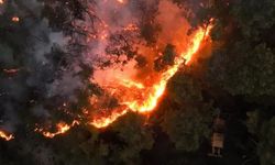 Suriye Lazkiye'de orman yangını 