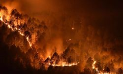 Suriye'de orman yangını kontrol altına alınamıyor