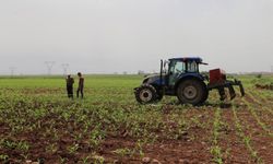 Tarımsal destekleme ödemeleri çiftçilerin hesabına aktarılıyor