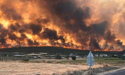Tekirdağ'da başlayan orman yangını Çanakkale'ye sıçradı