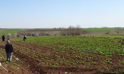 TKDK'dan Gaziantep'te kırsal kalkınma ve tarım sektörüne destek