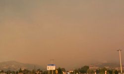 Üç ilde çıkan orman yangınları, Bursa’yı duman ve kül altında bıraktı