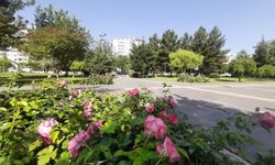 Ülke genelinde sıcaklık mevsim normallerinin üzerinde seyredecek