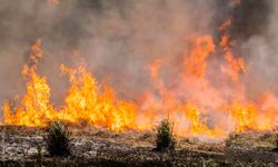 Uşak ve Manisa'daki yangınlar kontrol altında: 3 kişi gözaltında