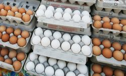 Yumurtalarda “Tüketim Tarihi” zorunlu hale geldi