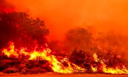ABD orman yangınları kontrol altına alınamıyor: 
