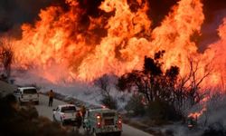 ABD'de devam eden orman yangınlarında 12 bin hektardan fazla alan yandı