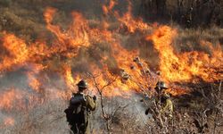 ABD'de orman yangınları nedeniyle binlerce kişi tahliye edildi 