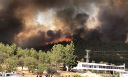 Adıyaman'da ormanlık alanda çıkan yangını soğutma çalışmaları devam ediyor