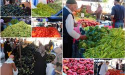 Aşırı sıcaklar kurutmalık sezonunu da etkiledi