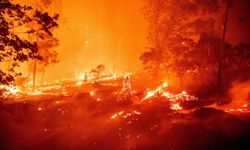 Balıkesir'de orman yangını