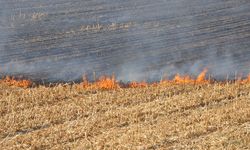 Batman İtfaiyesinden çiftçilere uyarı: Anız yakmak toprağa ihanettir