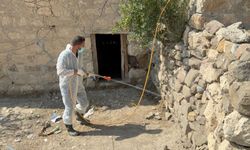 Batman'da akrep yoğunluğuna karşı ilaçlama