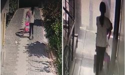 Batman'da apartmandan bebek bisikleti çalındı