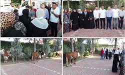 Batmanlı iş adamı 10 yetim aileye umut oldu