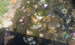 Beytüşşebap köylerinde toplanmayan çöpler dereleri kirletiyor