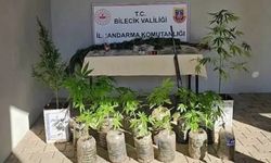 Bilecik'te uyuşturucu operasyonu: 2 gözaltı
