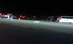 Bingöl'de hafif ticari araç ata çarptı, bir kişi hayatını kaybetti