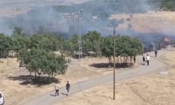 Bingöl'de kırsal alanda yangın çıktı