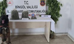 Bingöl’de uyuşturucu operasyonunda kenevir ve esrar ele geçirildi