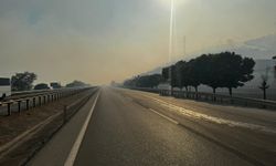 Bursa-Yenişehir kara yolu, orman yangını sebebiyle ulaşıma kapatıldı