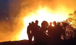 Bursa'da çalılık yangını korkuttu