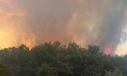 Bursa'da orman yangınına havadan ve karadan müdahale ediliyor