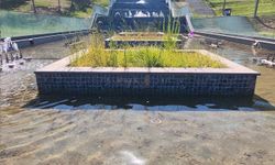 Büyük zahmetle temizleniyor bir günde eski haline dönüyor