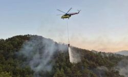 Denizli Pamukkale'deki orman yangını büyük ölçüde söndürüldü