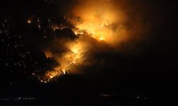 Denizli'de orman yangını rüzgarın etkisiyle yayılıyor