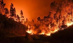 Denizli'de orman yangını 