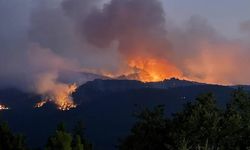 Denizli'deki orman yangını 3'üncü günde de devam ediyor