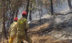 Feke’deki orman yangını kontrol altına alındı