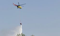 Hafta sonu çıkan 85 yangının çoğu ihmal ve dikkatsizlikten