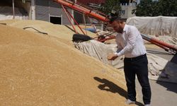 Hububat pazarı hareketli ama çiftçi girdi maliyetlerinden dertli