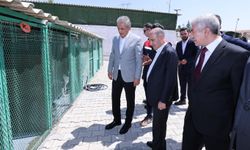 İçişleri Bakan Yardımcısı Aktaş Mardin’de incelemelerde bulundu 