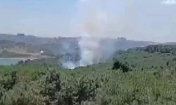 İstanbul’da orman yangını