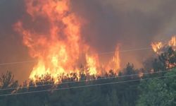 Kocaeli, Bartın ve Bursa’da orman yangınlarına müdahale sürüyor