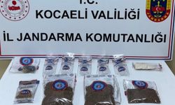 Kocaeli'de 1 kilo 873 gram bonzai ele geçirildi