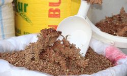 Kuraklık nedeniyle yerli sumak fiyatı yüzde 50 arttı