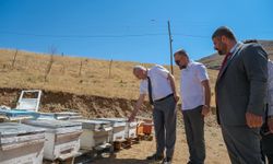 Malatya İl Tarım Müdürü Akar: Arıcılık, doğanın döngüsünü sürdüren önemli bir faaliyettir