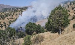 Malatya'da orman yangını: Soğutma çalışmaları sürüyor